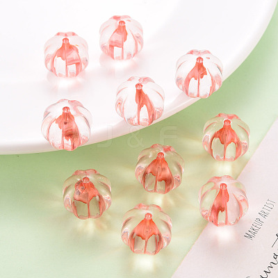 Transparent Acrylic Beads TACR-S154-19A-52-1