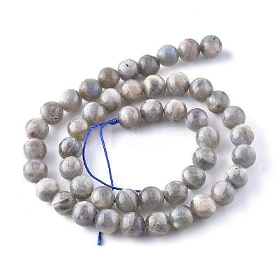 Natural Labradorite Beads Strands X-G-G212-8mm-23-1