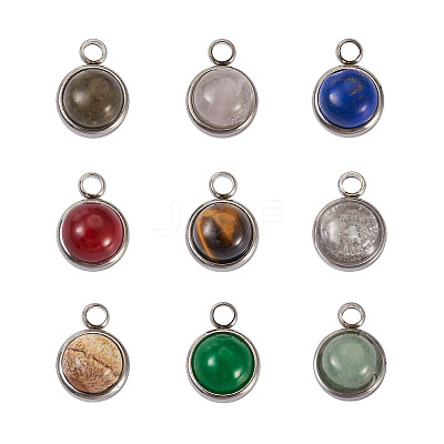 9Pcs 9 Styles Natural Mixed Stone Charms G-FW0001-28-1