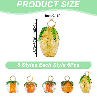 30Pcs 5 Styles Glass & Lampwork Pendants PALLOY-AR00021-1