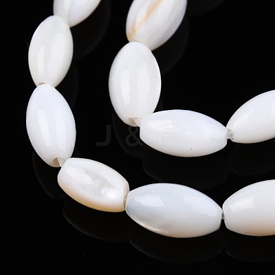 Natural Freshwater Shell Beads Strands SHEL-N026-212-A01-1
