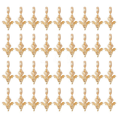 36Pcs Alloy European Dangle Charms MPDL-CA0001-06G-1
