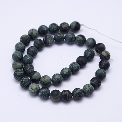 Natural Kambaba Jasper Beads Strands G-D744-10mm-1