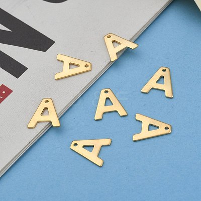 304 Stainless Steel Charms LS-X-STAS-P141-A-1