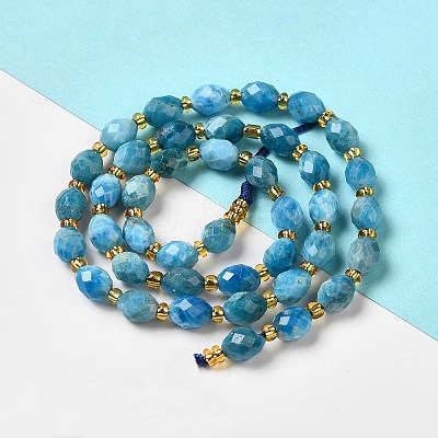 Natural Apatite Beads Strands G-H297-C03-01-1