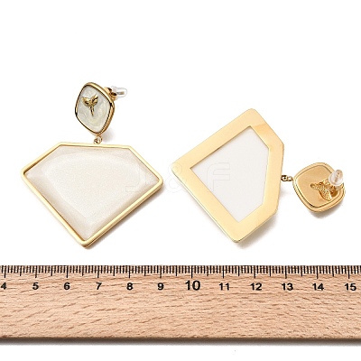304 Stainless Steel & Acrylic Dangle Stud Earrings for Women EJEW-A164-06B-G-1