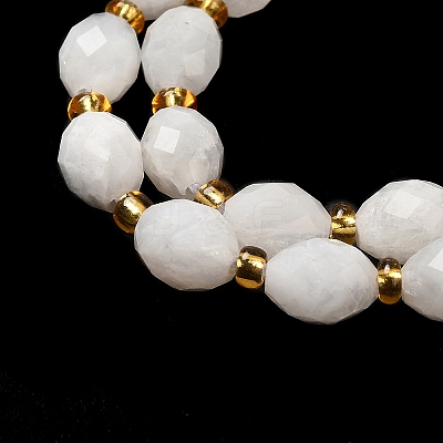 Natural Rainbow Moonstone Beads Strands G-H297-C12-01-1