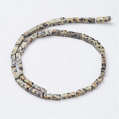 Natural Dalmatian Jasper Beads Strands G-G968-D10-1