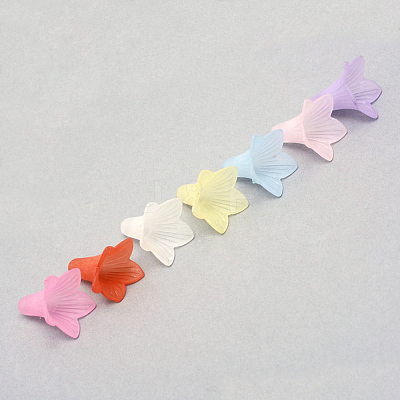 Transparent Acrylic Beads X-FACR-Q009-15-1