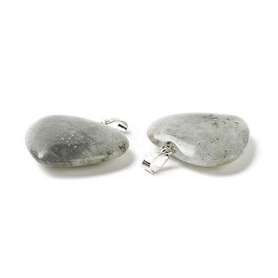 Natural Labradorite Pendants G-G956-B45-FF-1