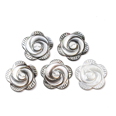 Rose Black Lip Shell Cabochons SSHEL-E553-09-1