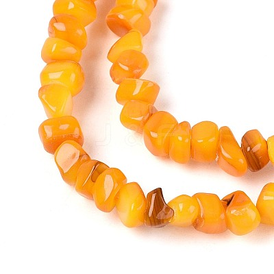 Natural Freshwater Shell Beads Strands SHEL-N037-04G-1