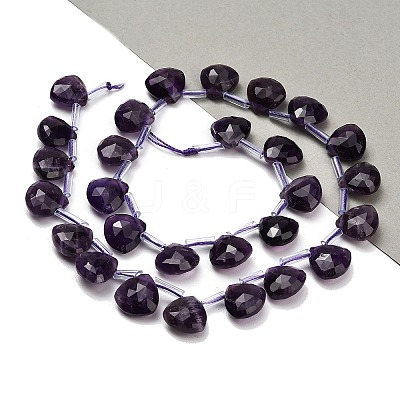 Natural Amethyst Beads Strands G-C292-A05-01-1