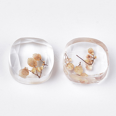 Resin Cabochons CRES-T014-13G-1
