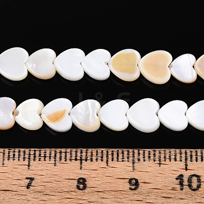 Natural Freshwater Shell Beads Strands SHEL-N026-67A-1