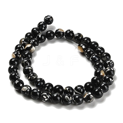 Assembled Synthetic Stone and Trochus Shell Beads Strands G-B128-08C-04-1