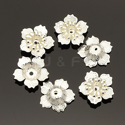 5-Petal Iron Flower Bead Caps X-KK-O016-08-1