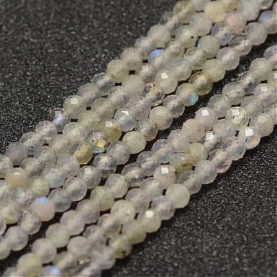 Natural Labradorite Beads Strands G-K182-2mm-25B-1