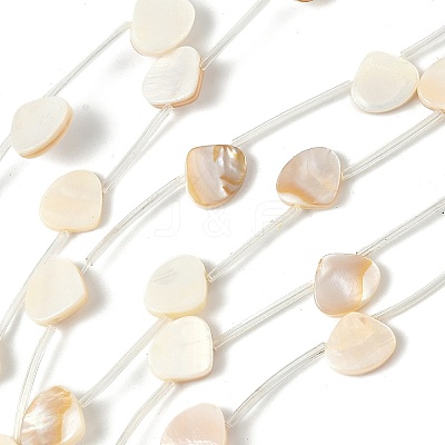 Natural Freshwater Shell Beads Strands SHEL-K006-52B-1