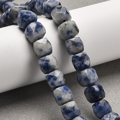 Natural Blue Spot Jasper Beads Strands G-H078-C20-01-1