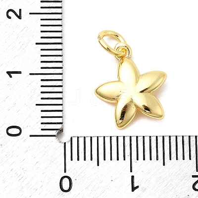 Brass Charms KK-C139-31D-G-1