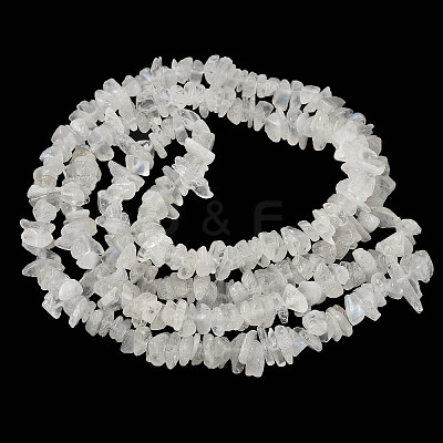 Natural Rainbow Moonstone Chip Beads Strands X-G-C195-01-1