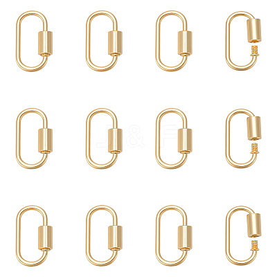 12Pcs Alloy Screw Carabiner Lock Charms FIND-UN0010-22G-1