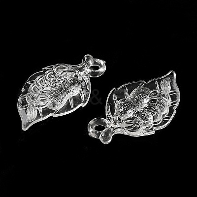 Transparent Acrylic Pendants TACR-G048-04A-1