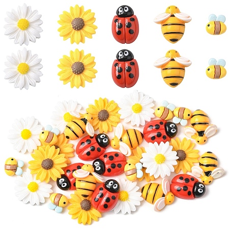 30Pcs 5 Styles Opaque Resin Cabochons Sets CRES-YW0002-55-1