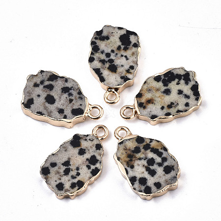 Natural Dalmatian Jasper Pendants G-N326-41H-1