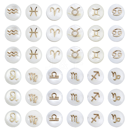 36Pcs 12 Styles Natural White Shell Beads SHEL-FH0001-27-1
