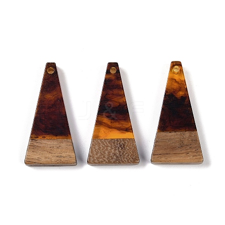 Resin & Wood Pendants WOOD-F015-03F-1