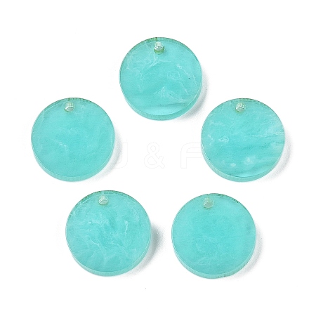 Opaque Resin Pendants RESI-T058-03C-1