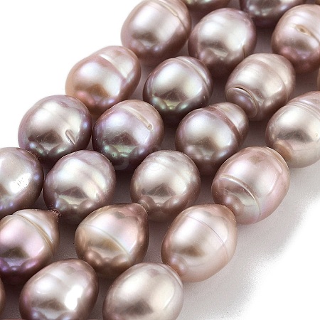 Natural Cultured Freshwater Pearl Beads Strands  PEAR-P062-13F-1