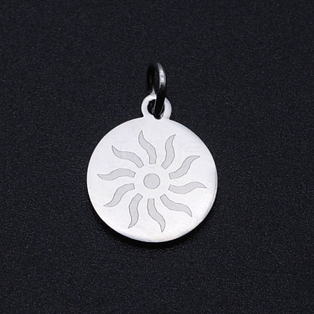 Non-Tarnish 201 Stainless Steel Charms STAS-T049-T684-1-1