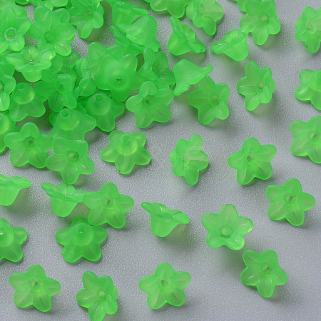 Transparent Acrylic Beads PL554-13-1