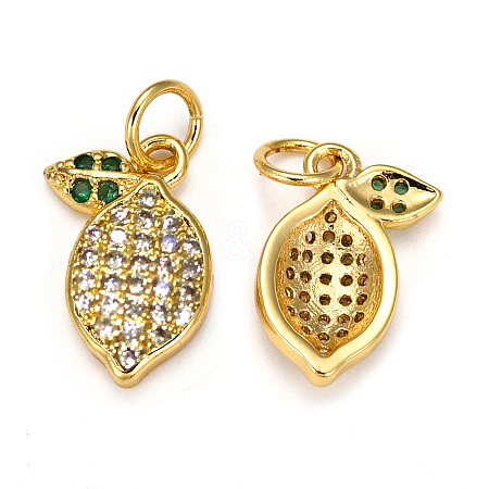 Brass Micro Pave Cubic Zirconia Charms ZIRC-L093-18G-1