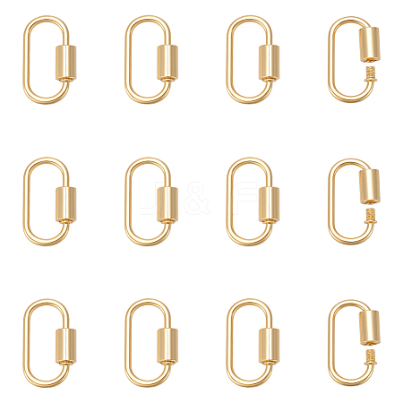 12Pcs Alloy Screw Carabiner Lock Charms FIND-UN0010-22G-1