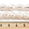 Natural Cultured Freshwater Pearl Beads Strands PEAR-P062-30F-5