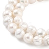Natural Cultured Freshwater Pearl Beads Strands PEAR-C003-09C-4