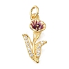 Brass Micro Pave Clear Cubic Zirconia Pendants CU-G605-18G-2