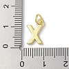 Rack Plating Brass Charms KK-P245-06G-X-3