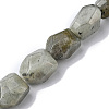 Natural Labradorite Beads Strands G-F743-04D-1
