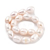 Natural Cultured Freshwater Pearl Beads Strands PEAR-P062-15C-3