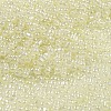 Ceylon Glass Seed Beads SEED-K009-02B-38-3