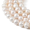Natural Cultured Freshwater Pearl Beads Strands PEAR-L034-18D-3