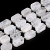 Natural Rainbow Moonstone Beads Strands G-C098-A21-01-1