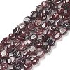 Natural Garnet Beads Strands X-G-L478-52-3