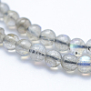 Natural Labradorite Beads Strands G-P342-09-4mm-AB+-3