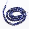 Natural Sodalite Beads Strands G-D840-19-4mm-2